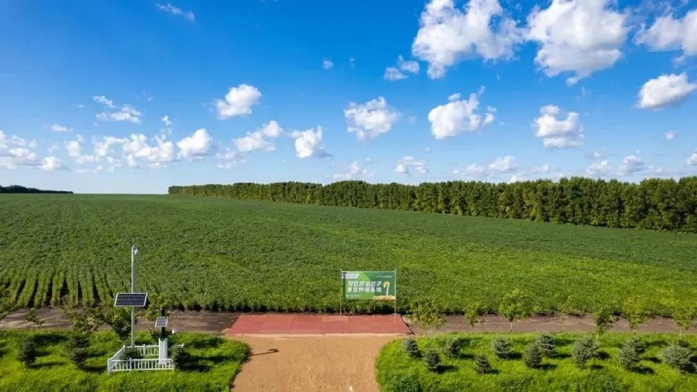 【河南日报农村版报道】304永利集团如何用14年把一颗小豆芽种成民生大事业