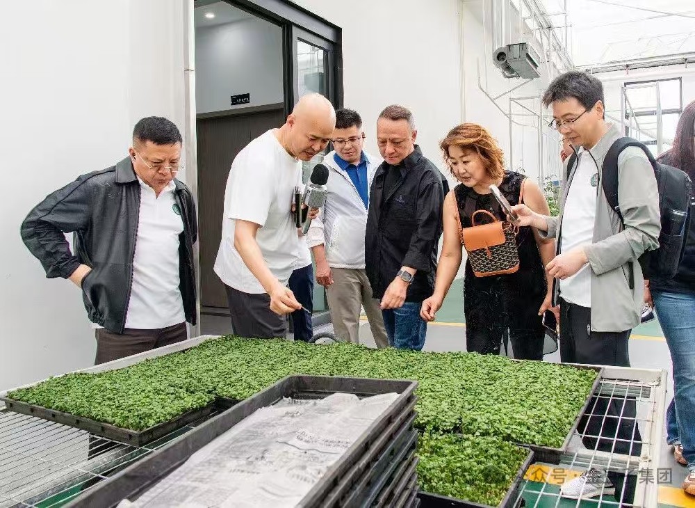 深化交流互鉴 共探农业发展新路径——中农创第九期学员班赴304永利集团集团参观考察